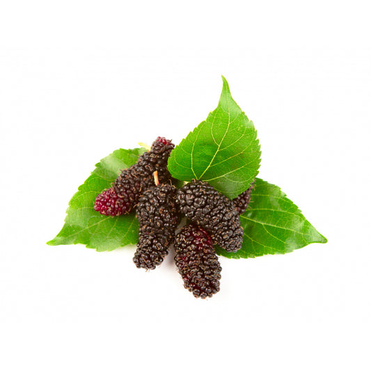 Mulberry (200gm)