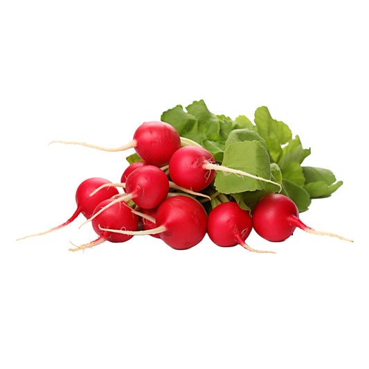 Red Round Radish Bunch