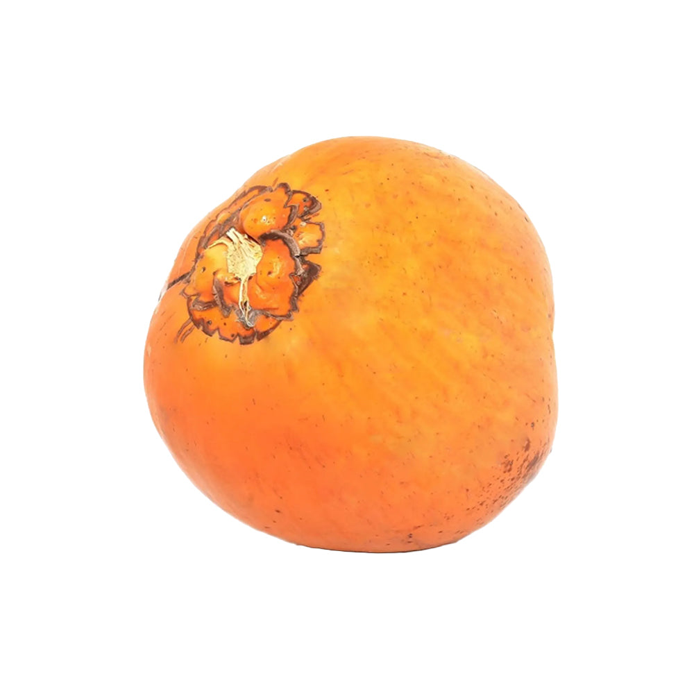 Tender Coconut From Sri Lanka